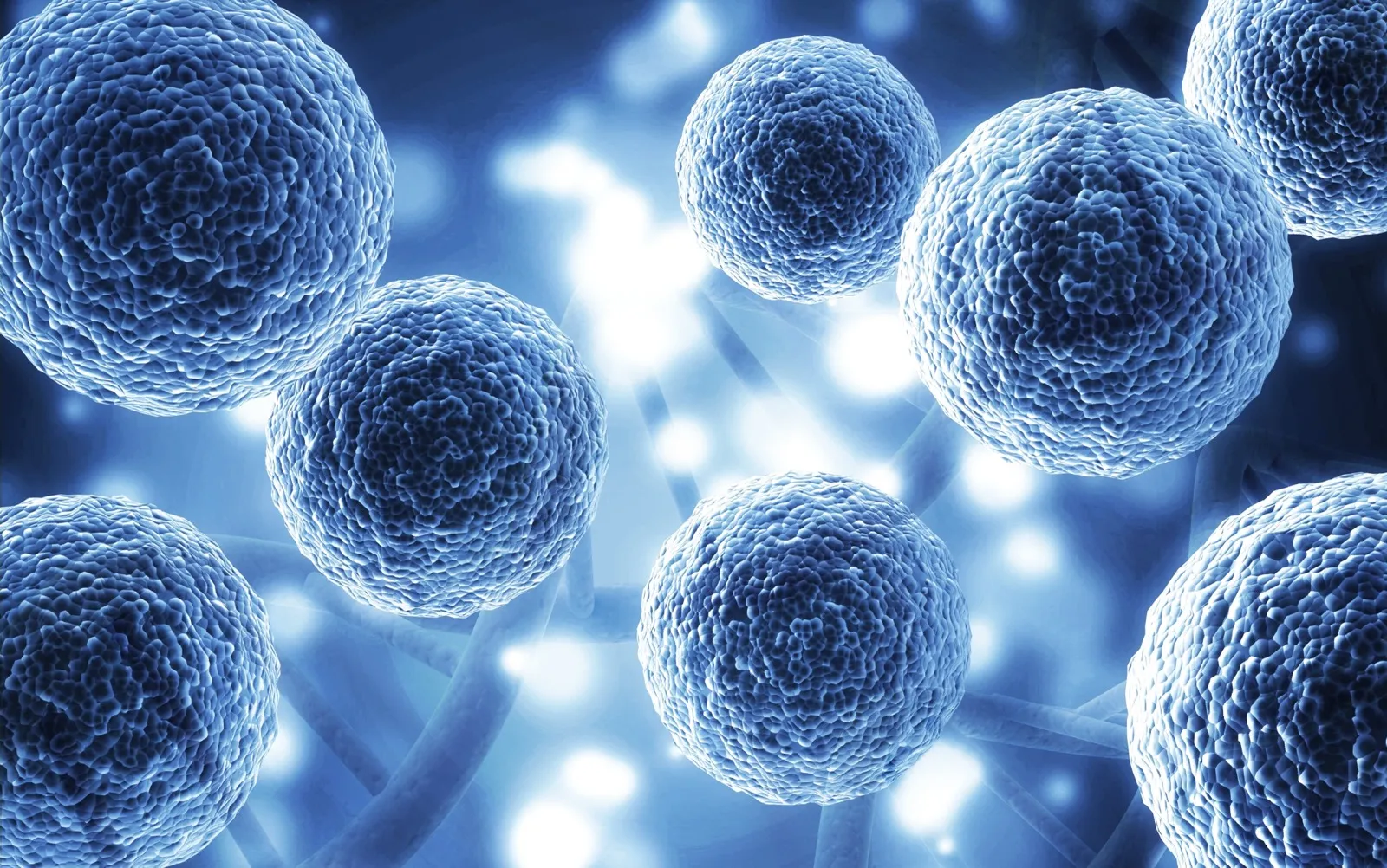 Cellular structures representing the biology of aging