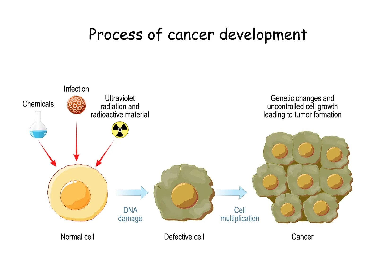 Cancer cell development and detection diagram