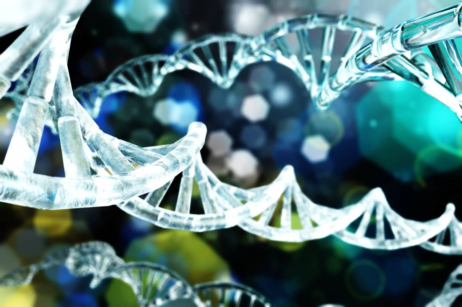 DNA helix representing the science of biological aging