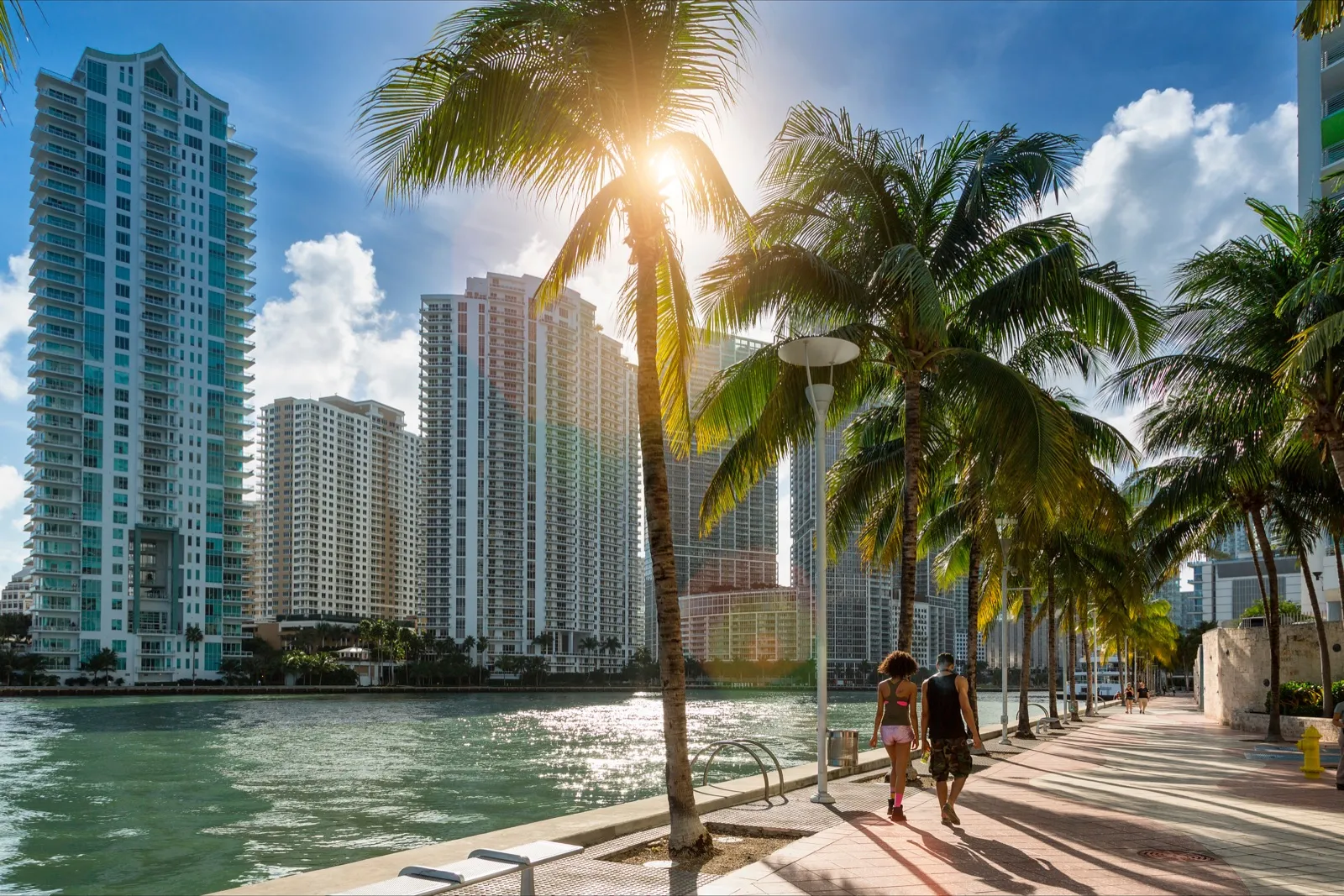 Brickell financial district waterfront skyline, the high-performing professional community Rewind Anti-Aging serves